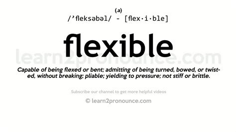 Flexible Definition & Meaning .